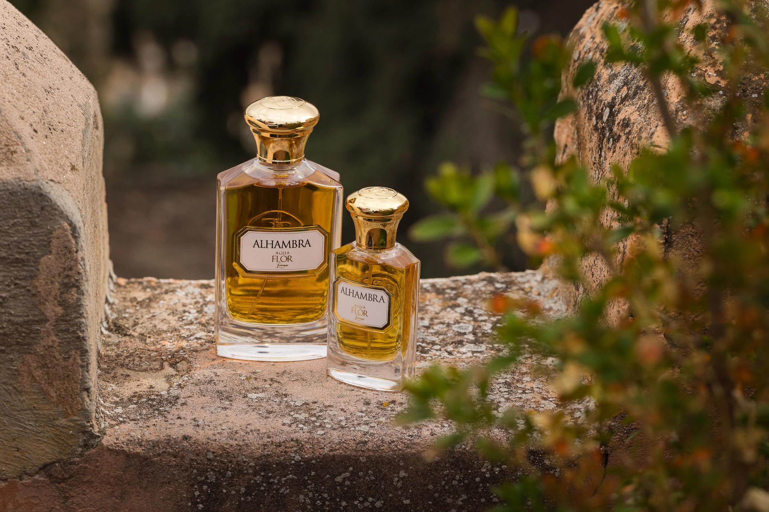 Alhambra - Image 3