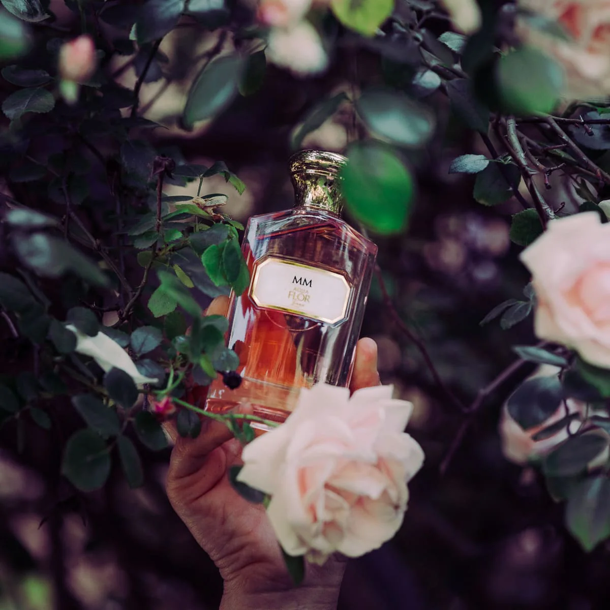 Profumo MM - Image 4