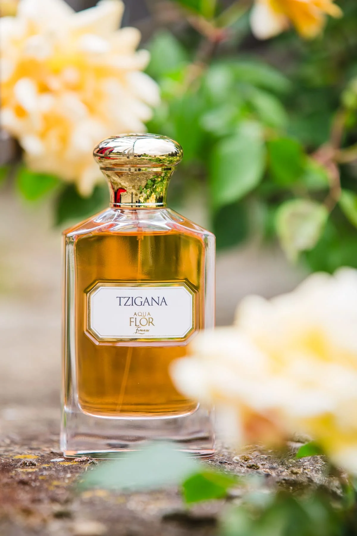 Profumo Tzigana - Image 4